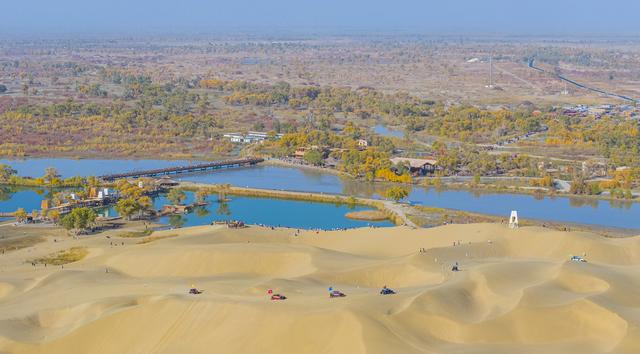 新疆：沙漠胡杨入画来