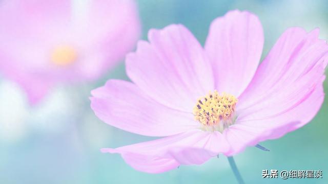 12月20日星期六，属猪	，可能会有事发生了