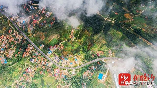 临沂沂南：以路为笔绘就和美乡村新图景