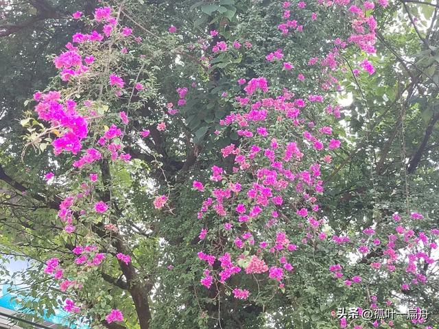 风水轮流转下一句霸气（十年风水轮流转）