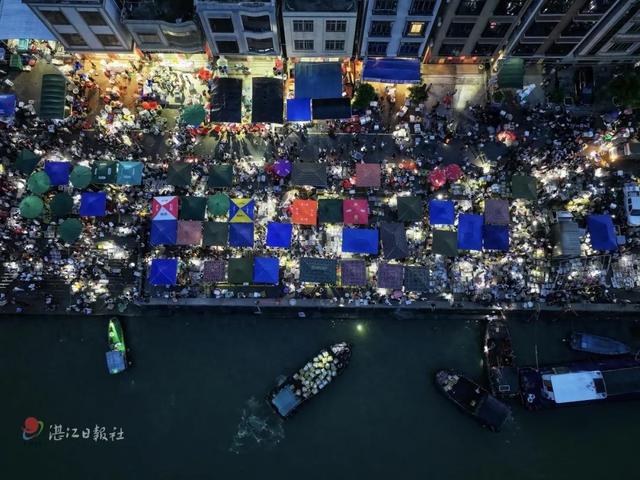 人气爆棚！从“天光鱼市”到满房民宿，湛江这里有什么“魔力”？