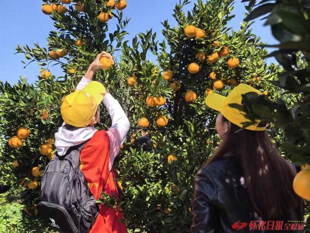 雷锋青少年：亲子徒步活动助成长