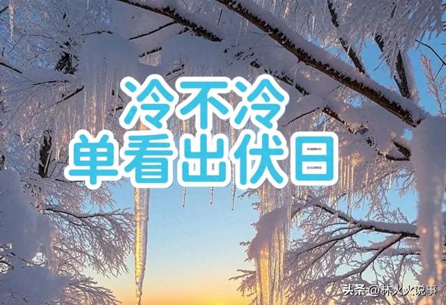“冷不冷，单看出伏日”，明日出伏，今年冬天冷不冷？早看早了解