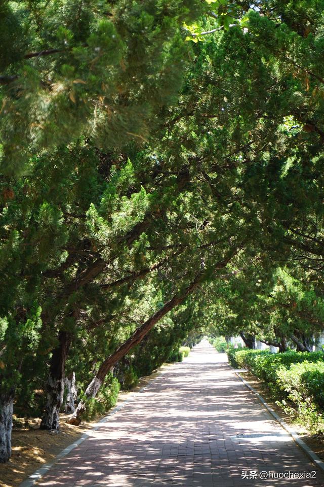 坐着高铁去看海（26）——烟台金沙滩