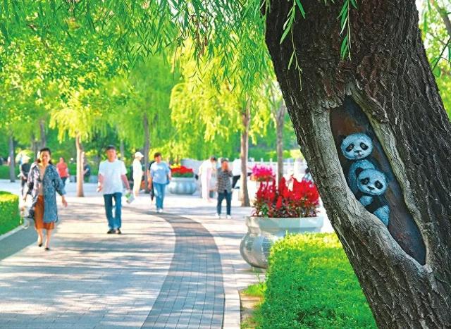 太原迎泽公园：树洞画成为视觉焦点 获得市民好评