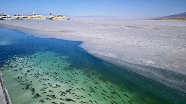 一场旅途 见证青海四季皆美的全时绽放