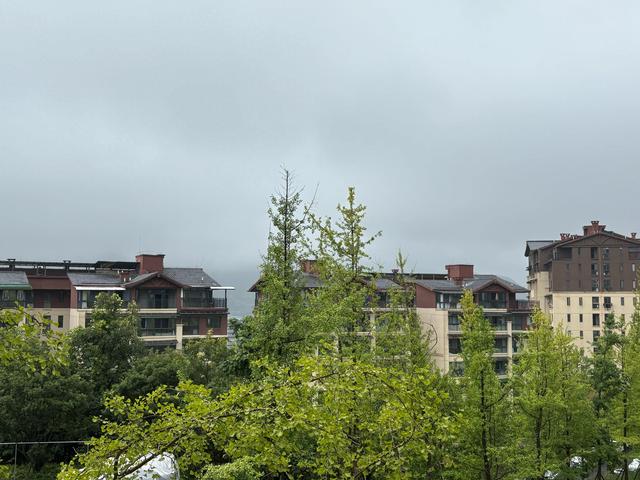 百里杜鹃雨中的回想
