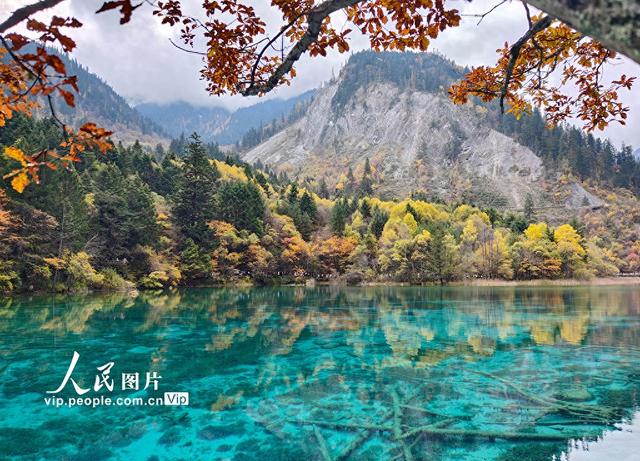 九寨沟 层林尽染