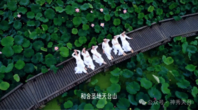 济公故里放大招！天台把和合文化玩出花
