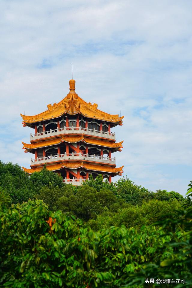 重阳节，登高远望城市风光。
