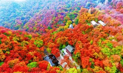 勇者山洞2手机版本下载（这里的山洞）