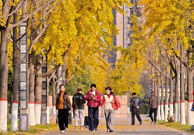 许昌：水韵绿城的别样风情