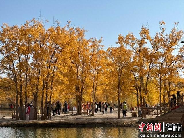 海外华媒探访甘肃金塔 点赞生态治理与历史传承成果