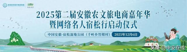 12月6日“乡”约宿松,这座3000亩文旅小镇藏着诗与远方