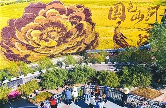 沈阳生态之美｜沈北新区稻梦空间景区已进入最佳观赏期