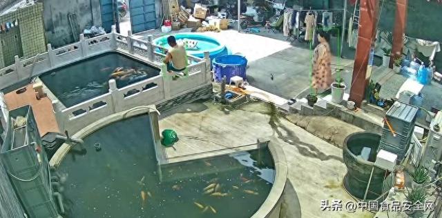 河南男子喂鱼忘送娃上课，被妻子一脚踹进1.6米深的鱼池！回应：妻子怀孕脾气控制不住，已互相道歉