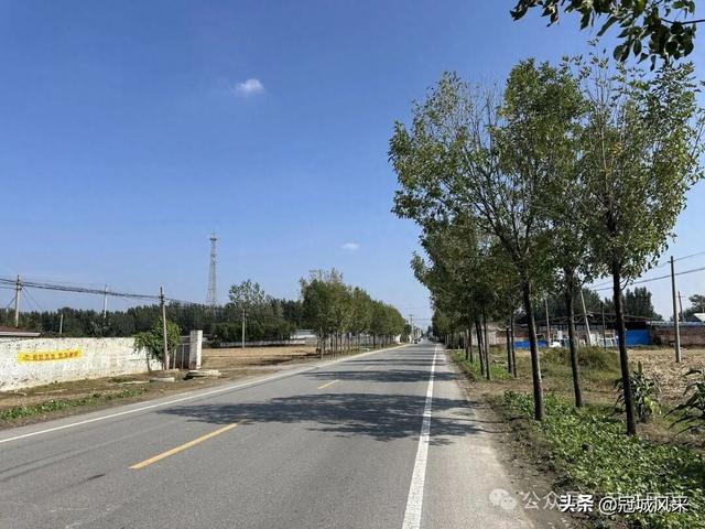 冠县乡韵·兰沃乡大柳邵村