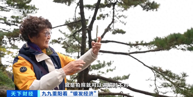 从AI伴游到食宿无忧，景区全方位适老化改造点亮“银发游”