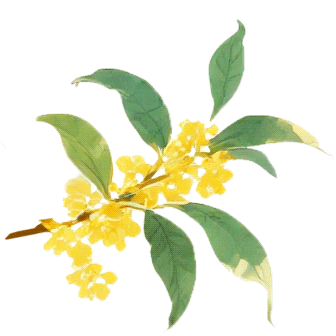 鼻子：秋信，已签收！