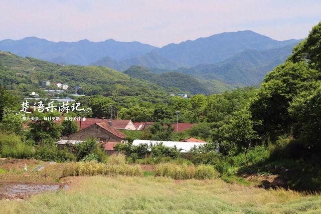 浙江绍兴发现一个森林公园，3条古道犹如绿野仙踪，成为徒步胜地