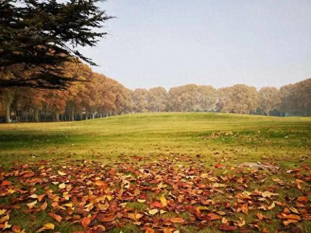 提前预约!郑州黄河迎宾馆初冬美景上线