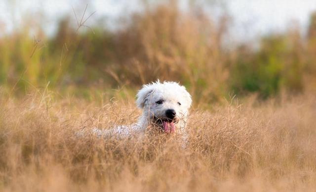 你好邻居躲猫猫新版本版（叮你收到一条好运签收提醒快接住）