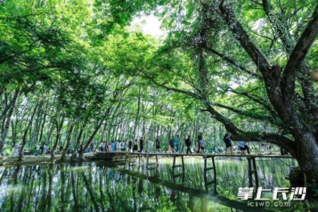 “绿野仙踪”西溪南｜一江碧水向东流