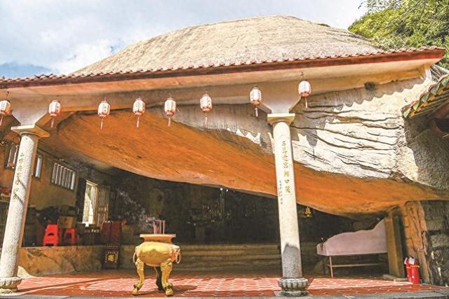 一片奇寺 百年桂花开两色