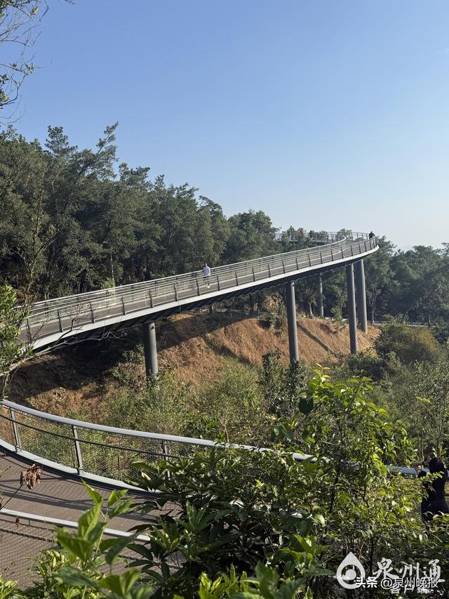 市民健身休闲再添好去处！紫帽山福道完工开放啦