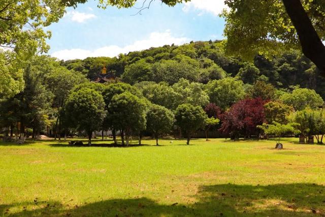 苏州石公山的秋天，太治愈了！