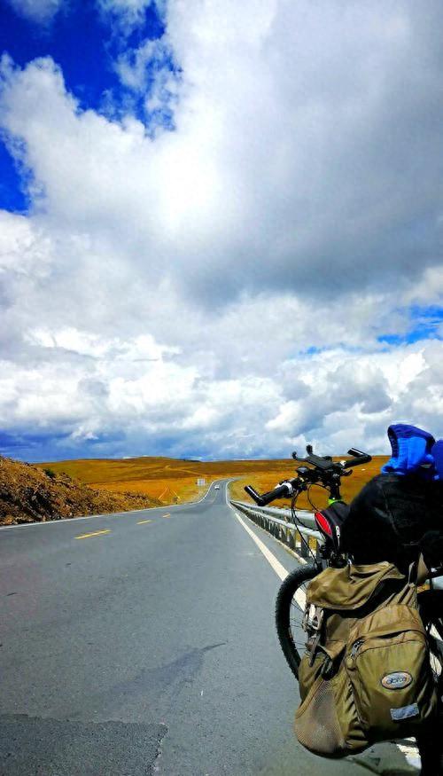 别搜了，热搜上的泪是我流的