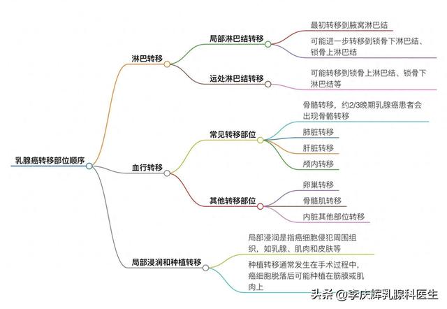 乳腺癌淋巴转移的主要途径有哪些（乳腺癌常见的转移部位）