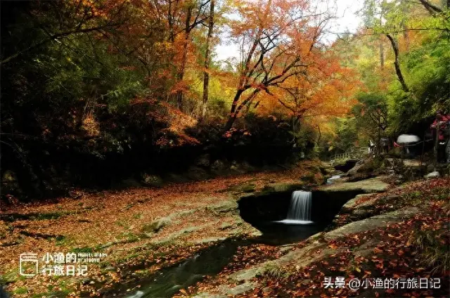 这才是陕西秋景“天花板”，红叶不输光雾山！周末免费，快冲！