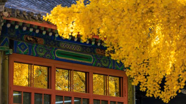 半城古典，半城浪漫！一叶知秋，一框载古今