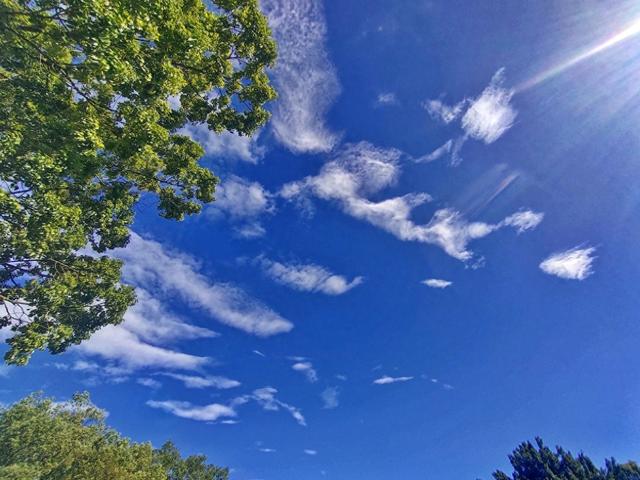 一键升温模式开启今明暖阳当空，适宜外出游玩