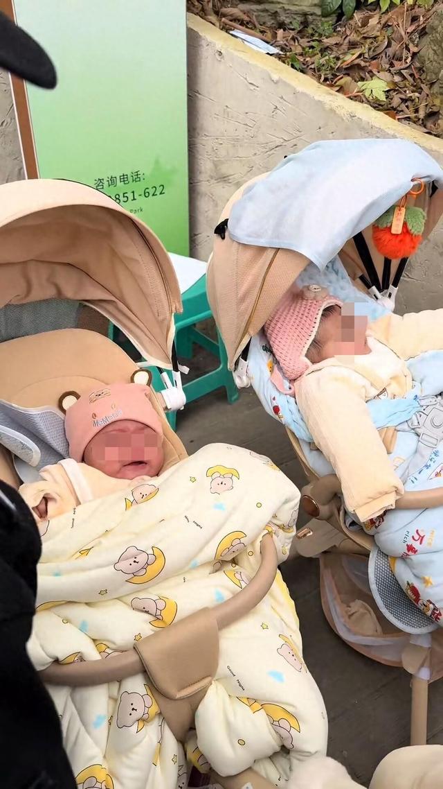 外国夫妻游黔灵山公园将双胞胎婴儿托付给保安，游客围观哄娃换尿不湿，当事保安：帮忙看管了一个多小时