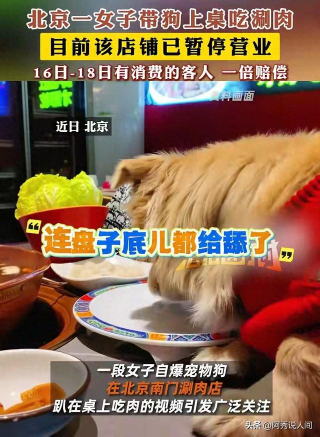 狗舔餐具事件新进展，品牌方将追究狗主人责任，网友：将近50万