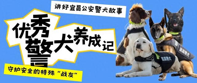 哈瑞侦探3攻略（哈瑞）