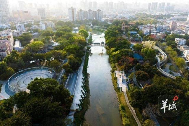 国庆打卡新地标！龙岗河干流碧道堤下试行开放，年底将全线亮相