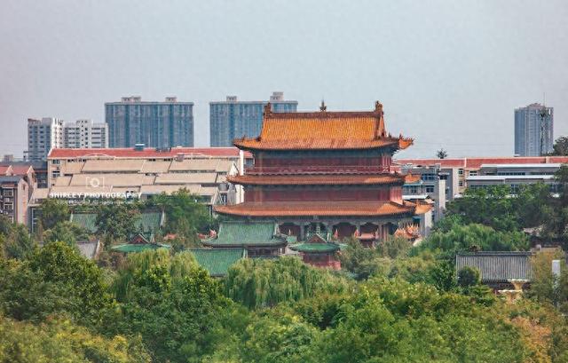 上海游客第一次去胖东来，比网上传的更离谱，被吓到赶紧结账走人