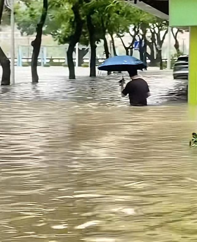 台风天开车“冲浪”后续：司机被行拘，身份遭扒，难怪做出这种事