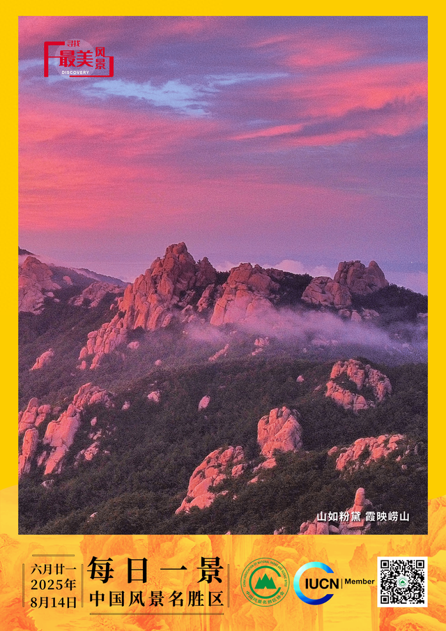 每日一景 | 山如粉黛 霞映崂山