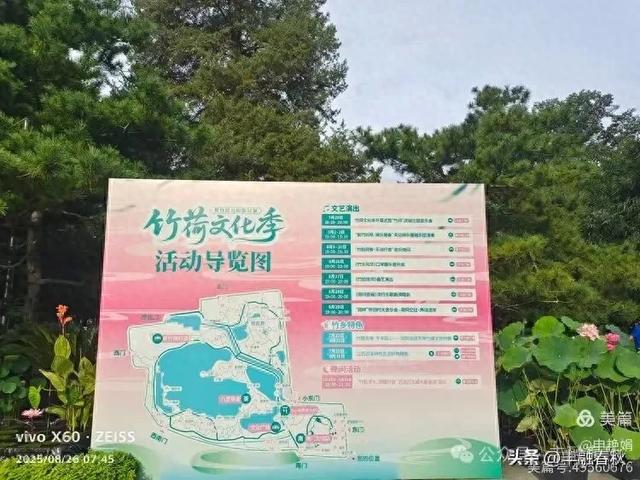 紫竹院竹荷季：一园清风里的诗意相逢｜ 申艳娟