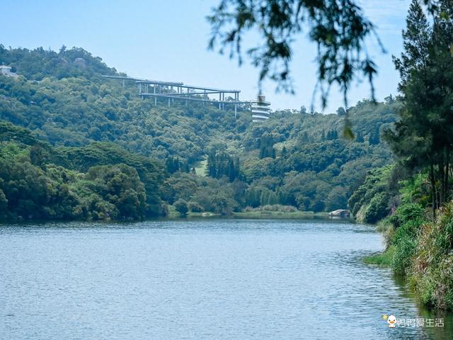 厦门上李水库公园游玩攻略，带你邂逅城市中的绿野仙踪