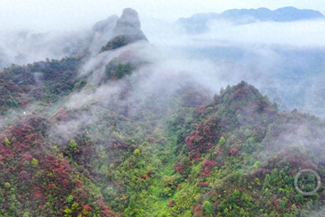 重庆酉阳：红叶最佳观赏期来了！