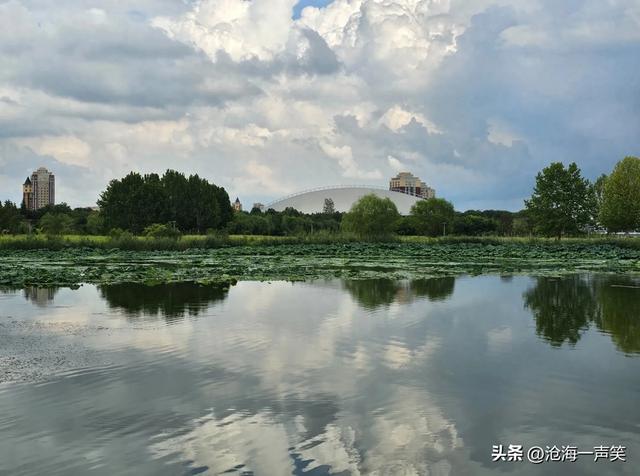 醉美的景色，蓝天白云，绿树倒影，高楼映影，醉了爱了乐了美了