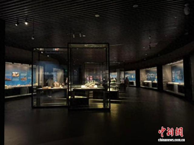 从恐龙时代到彝族风情 云南楚雄文物展在山西大同开展
