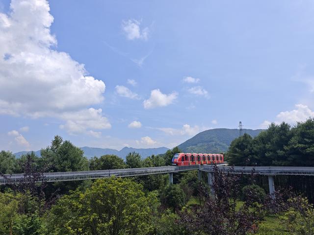 海坪火把季热度攀升，野玉海观光小火车成“移动风景线”
