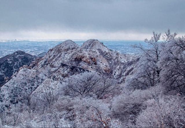在金普，如何优雅地“猫冬”？这份幸福捕捉指南请收好！