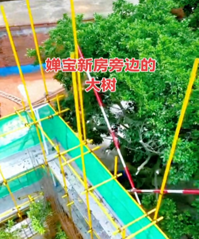 全红婵家盖房后续！邻居终于妥协，常年没人住，评论区风向反转